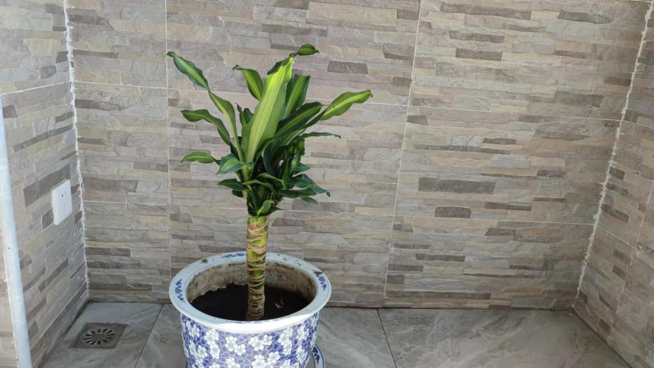 Căn hộ Jenny's Thượng Hải